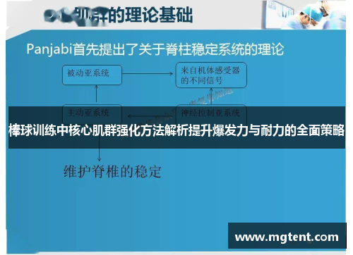 棒球训练中核心肌群强化方法解析提升爆发力与耐力的全面策略