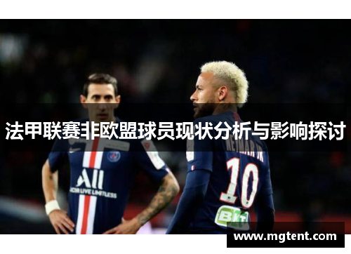 法甲联赛非欧盟球员现状分析与影响探讨
