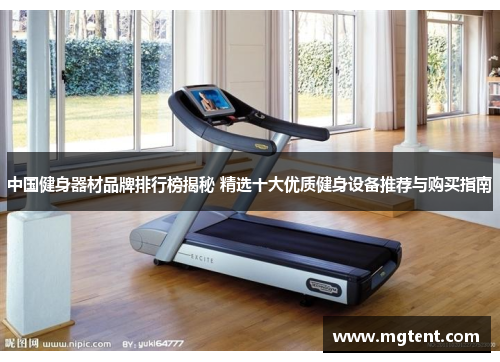 中国健身器材品牌排行榜揭秘 精选十大优质健身设备推荐与购买指南