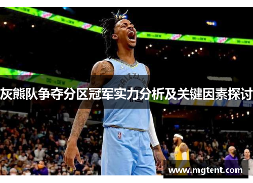 灰熊队争夺分区冠军实力分析及关键因素探讨